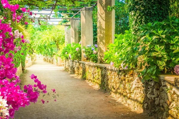 Park Galeria Kwiatami Miejscowości Ravello Wybrzeże Amalfi Włoszech — Zdjęcie stockowe