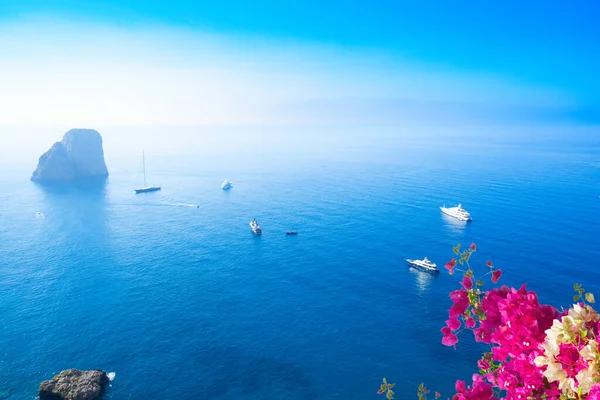 Famous Faraglioni Cliffs Tyrrhenian Sea Blue Water Blooming Flowers Capri — Stock Photo, Image