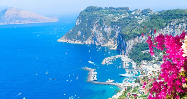 View Beautiful Marina Grande Habour Capri Island Flowers Italy Web — Stock Photo, Image