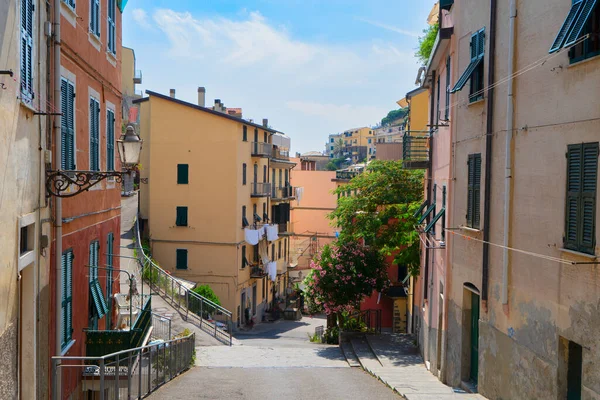 Rue Riomaggiore Ville Pittoresque Cinque Terre Italie — Photo
