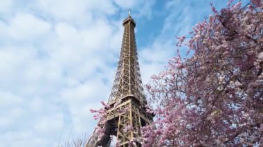 Eyfel Kulesi, pembe sakura bahar çiçekleri, Paris, Fransa