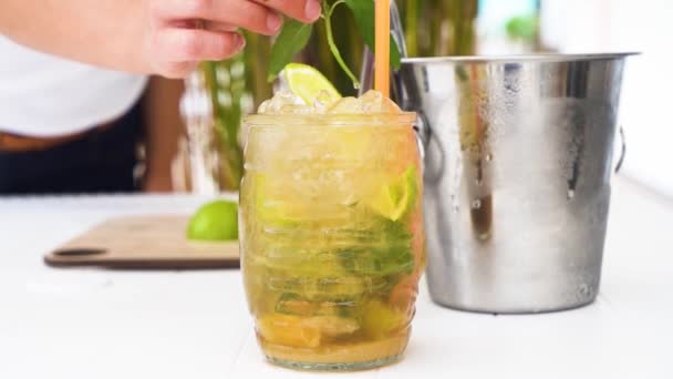 Cropped Shot Bartender Making Delicious Fresh Cocktail Lime Juice Bar — 비디오