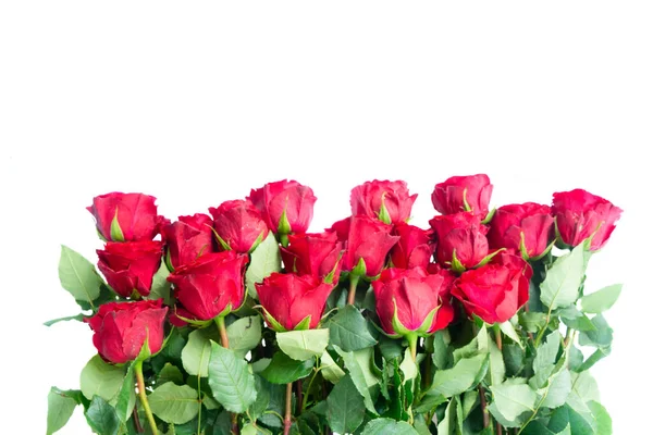 Crimson Red Rose Flowers Bouquet Borders Isolated White Background — Stock Photo, Image