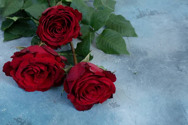 Три Красных Цветка Розы Фон Дню Святого Валентина Пространство Копирования — стоковое фото