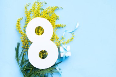 Mimosa sarı çiçekleri narin mavi bahar arka planında, 8 Mart bayram arka planında, mimoz uluslararası kadınların 8 Mart 'taki geleneksel çiçekleridir.