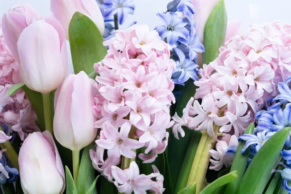 Påsk Scen Med Färska Tulpaner Och Hyacint Blommor Blått Och — Stockfoto