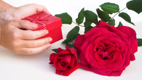 Подарок День Святого Валентина Руки Положить Подарочную Коробку Рядом Красными — стоковое видео