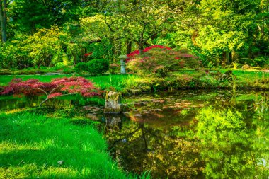Hollanda, Lahey 'deki Japon bahçesinde akan kaynak suyu ve yeşil çimenler,