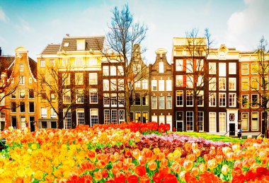 Kanal üzerindeki Hollandalı evlerin cephelerinde çiçekli ayna yansımaları, Amstardam, Hollanda, tonlama