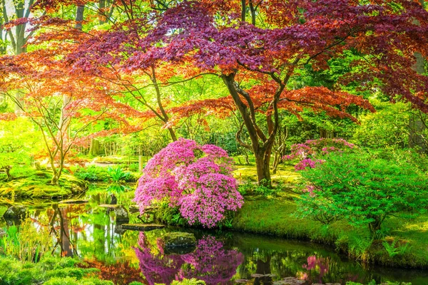 Hierba Verde Árboles Florecientes Jardín Japonés Haya Países Bajos Tonificado — Foto de Stock