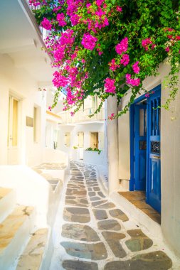 Yunanistan 'ın Mykonos adasının tipik Coloful beyaz caddesi