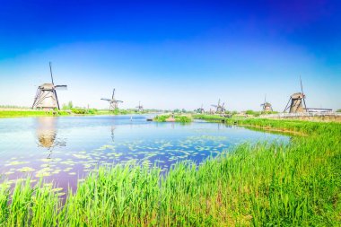 traditional dutch windmills with green grass and blue canal in Kinderdijk at summer day, Netherland, toned