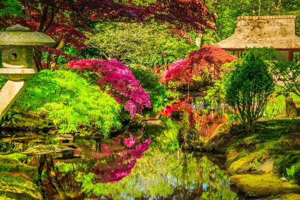 green grass and colorful trees in colorful japanese garden in The Hague, Netherlands