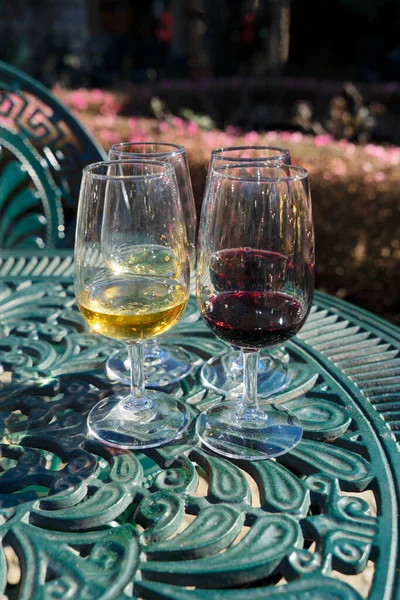 Portwijn Testen Glazen Met Drank Wit Rood — Stockfoto