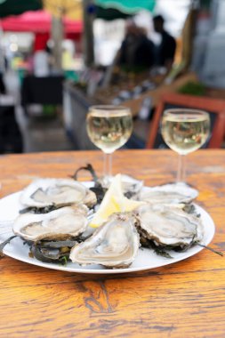 Fransa, Parice 'de çiftçi pazarında taze istiridye tabakları