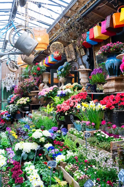 Paris flower market with fresh flowers pots at Cite island, Paris France