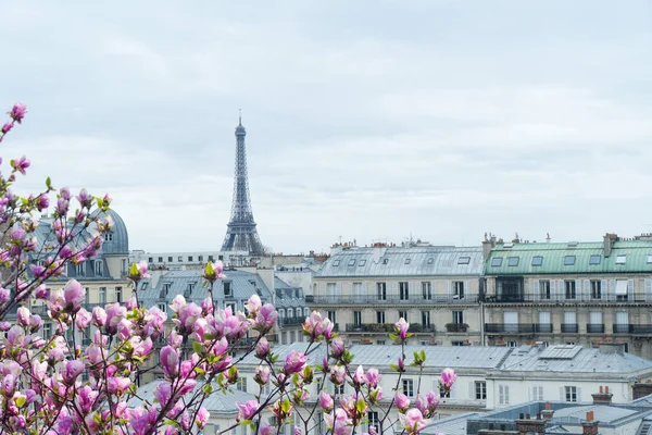 Διάσημη Πύργος Του Άιφελ Και Παρίσι Στέγες Λουλούδια Δέντρο Άνοιξη — Φωτογραφία Αρχείου