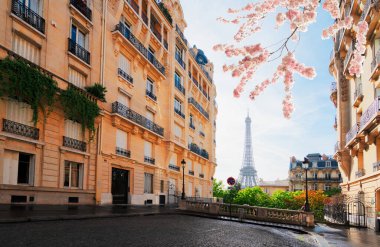 Paris 'te, bulutlu bir bahar gününde Paris Fransa' nın çiçekleriyle ünlü Eyfel Kulesi manzaralı rahat bir cadde.