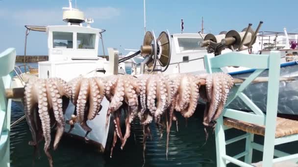 Getrocknete Frische Kraken Typisches Gericht Der Insel Paros Griechenland — Stockvideo