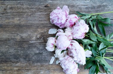 Fresh peonies flowers over old wood background, summer floral background