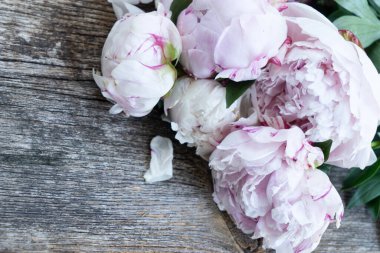 Fresh peonies flowers over old wood background, summer floral background