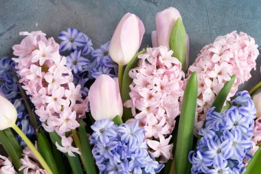 Paskalya sahnesinde taze laleler ve sümbül çiçekleri gri arka planda.