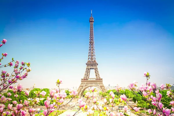 Eiffelova Věž Pařížské Panorama Slunečný Den Jaře Květy Stromu Francie — Stock fotografie