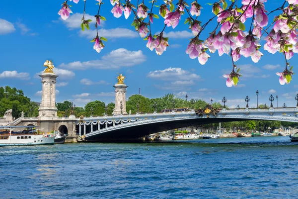Most Alexandre Iii Přes Řeku Seinu Letním Dni Francie — Stock fotografie