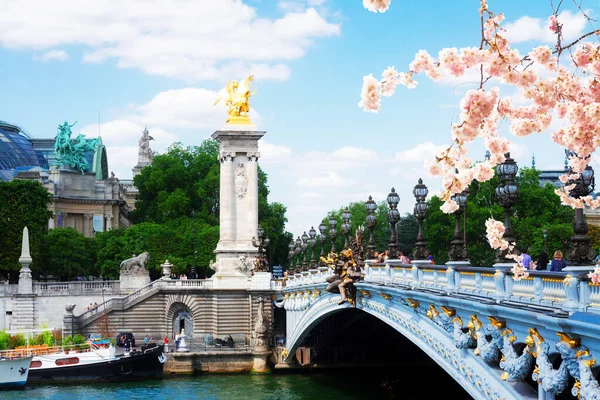 Alexandre Köprüsü Nün Kemeri Bahar Günü Fransa Seine Nehri Üzerinde — Stok fotoğraf