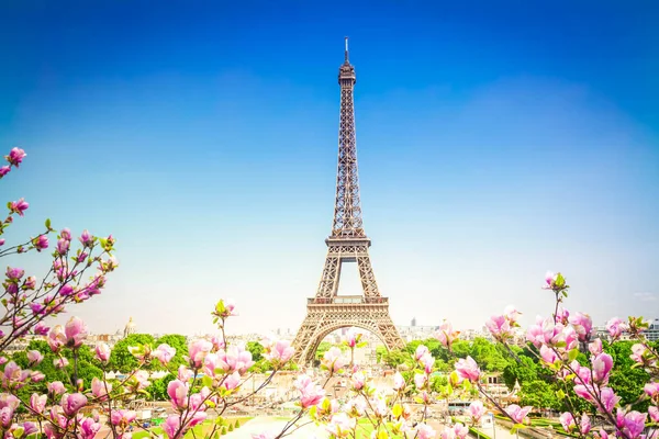 春の晴れた日と木の花 フランスのエッフェル塔とパリの街並み ストック写真