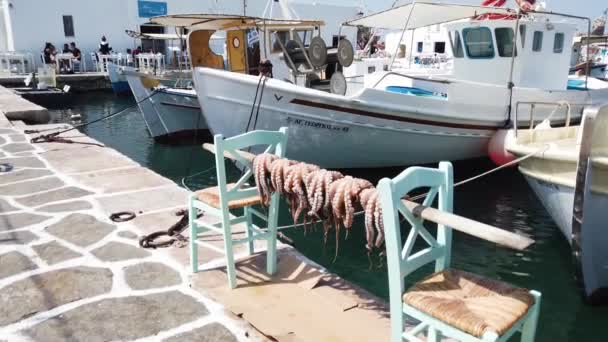 Getrocknete Frische Kraken Typisches Gericht Der Insel Paros Griechenland — Stockvideo