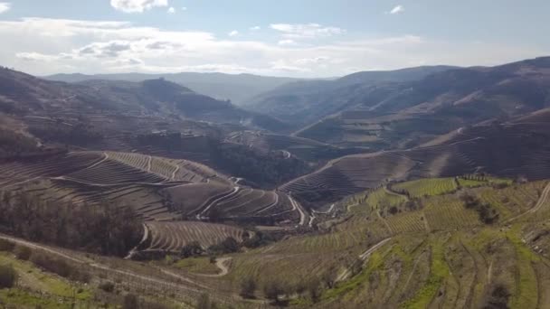 Douro Wijnvallei Met Wijngaarden Portugal Unesco Werelderfgoed — Stockvideo