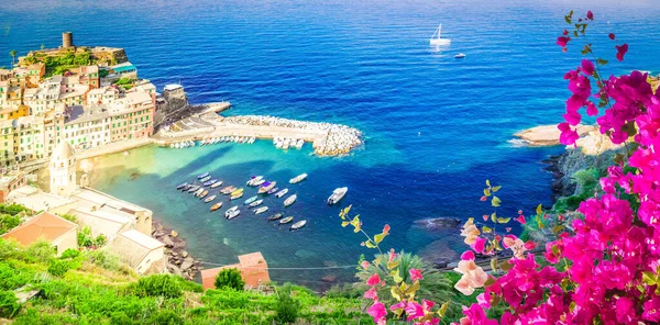 View Vernazza Pituresque Town Habour Cinque Terre Flowers Italy Web — Foto de Stock