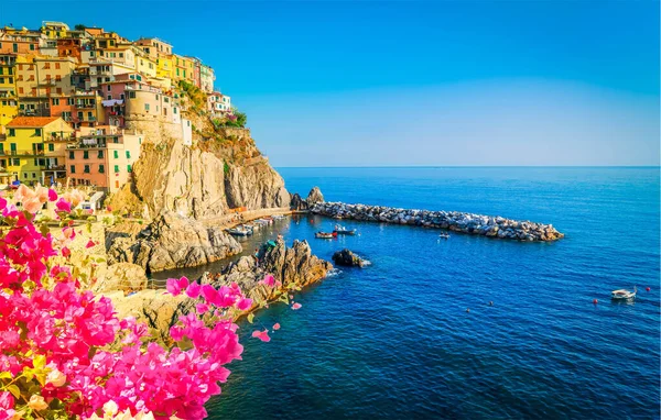 イタリアの花が咲く夏のManarola絵の町とCinque Terreの海 — ストック写真