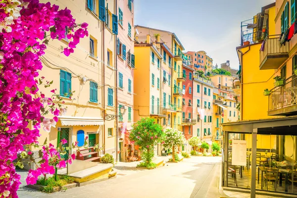 Street Riomaggiore Picturesque Town Cinque Terre Flowers Italy — Foto de Stock