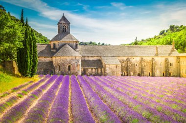 Dünya ünlü Abbey Senanque ve çiçeklenme lavanta alan, Fransa