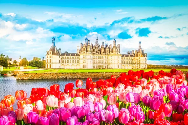Chambord Chateau Herbsttag Pays Loire Frankreich — Stockfoto