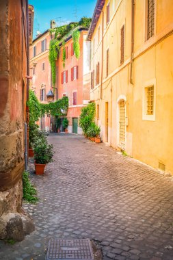 Eski kasaba İtalyan dar sokak Trastevere, Roma, İtalya, görüntüleme