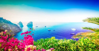 Famous Faraglioni cliffs and Tyrrhenian Sea clear blue water, Capri island, Italy with flowers, web banner format