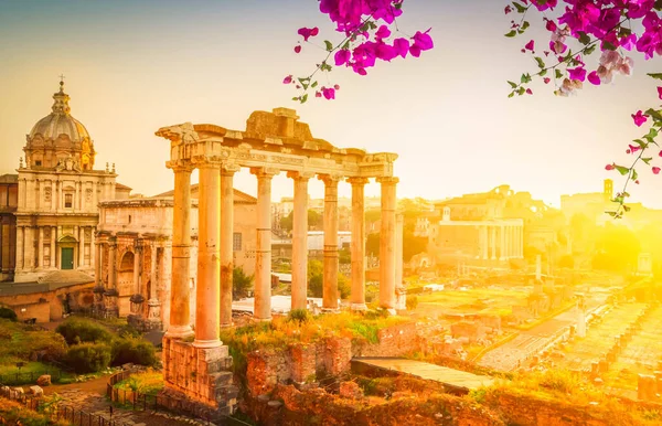 Forum Ruinas Romanas Con Paisaje Urbano Roma Con Flores Italia — Foto de Stock