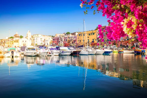 Marina Grande Boats Colorful Old Houses Procida Island Flowers Italy — Foto de Stock