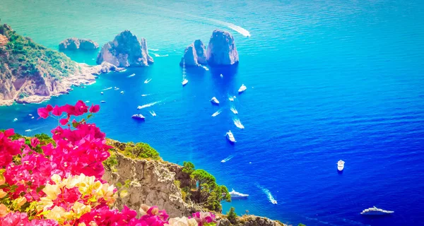 Beroemde Faraglioni Kliffen Tyrreense Zee Met Bloemen Capri Eiland Italië — Stockfoto