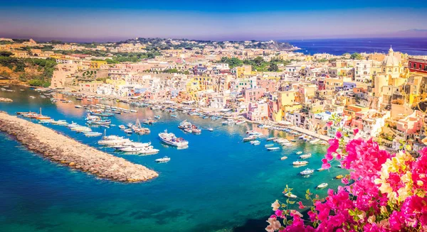 View Procida Island Colorful Town Small Harbour Flowers Italy Web — Stok Foto