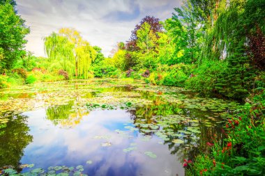 Yaz günü Giverny 'de nilüferli gölet manzarası