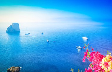 Ünlü Faraglioni uçurumları ve Tyrhenian Denizi mavi suyu, çiçek açan çiçekler, Capri Adası, İtalya