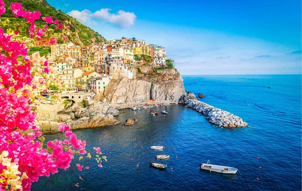 Manarila Picturesque City Cinque Terre Flowers Italy — стокове фото