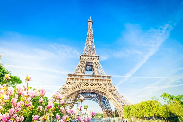Παρίσι Πύργος Του Άιφελ Άνοιξη Μανόλια Λουλούδια Στο Παρίσι Γαλλία — Φωτογραφία Αρχείου