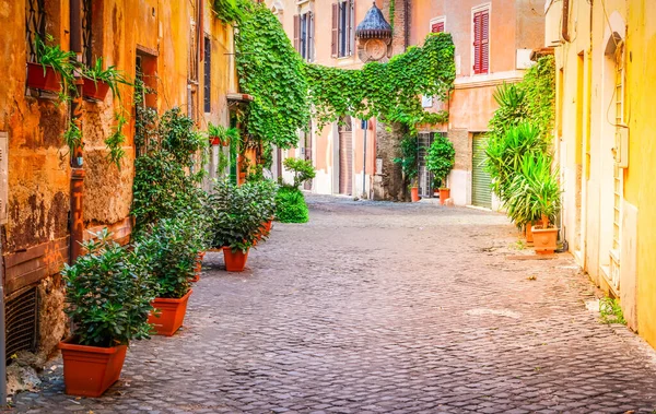 Trastevere Eski Şehir Talyan Yaya Caddesi Görünümü Roma Talya — Stok fotoğraf
