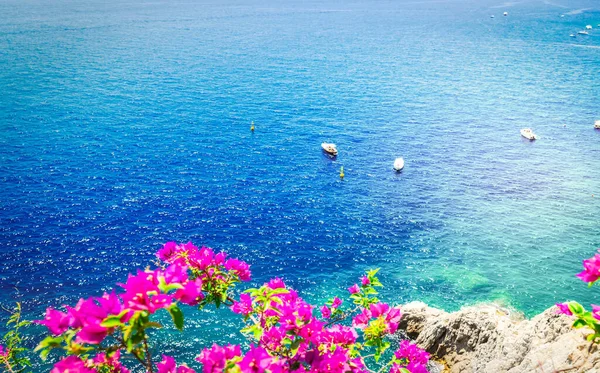Fényes Növekvő Virágok Tenger Gyönyörű Részletek Amalfitana Nyáron Amalfi Tengerpart — Stock Fotó