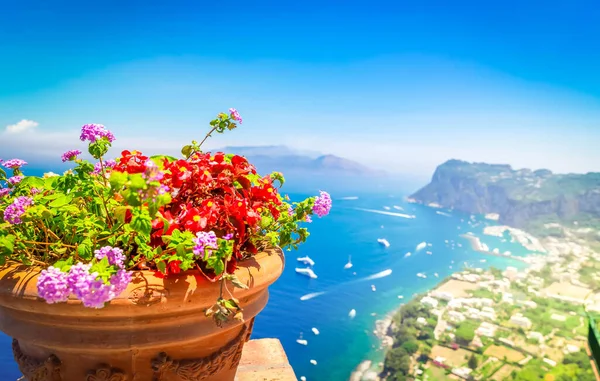 Vackra Detaljer Tyrrenska Havet Sommaren Kusten Capri Island Resort Italien — Stockfoto